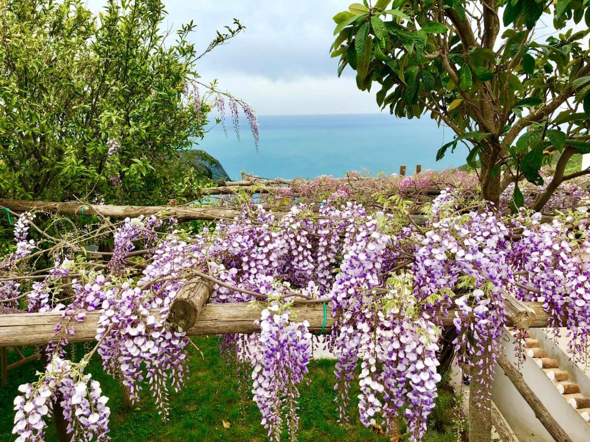 Bed and Breakfast Casa Flora Vietri Exterior foto
