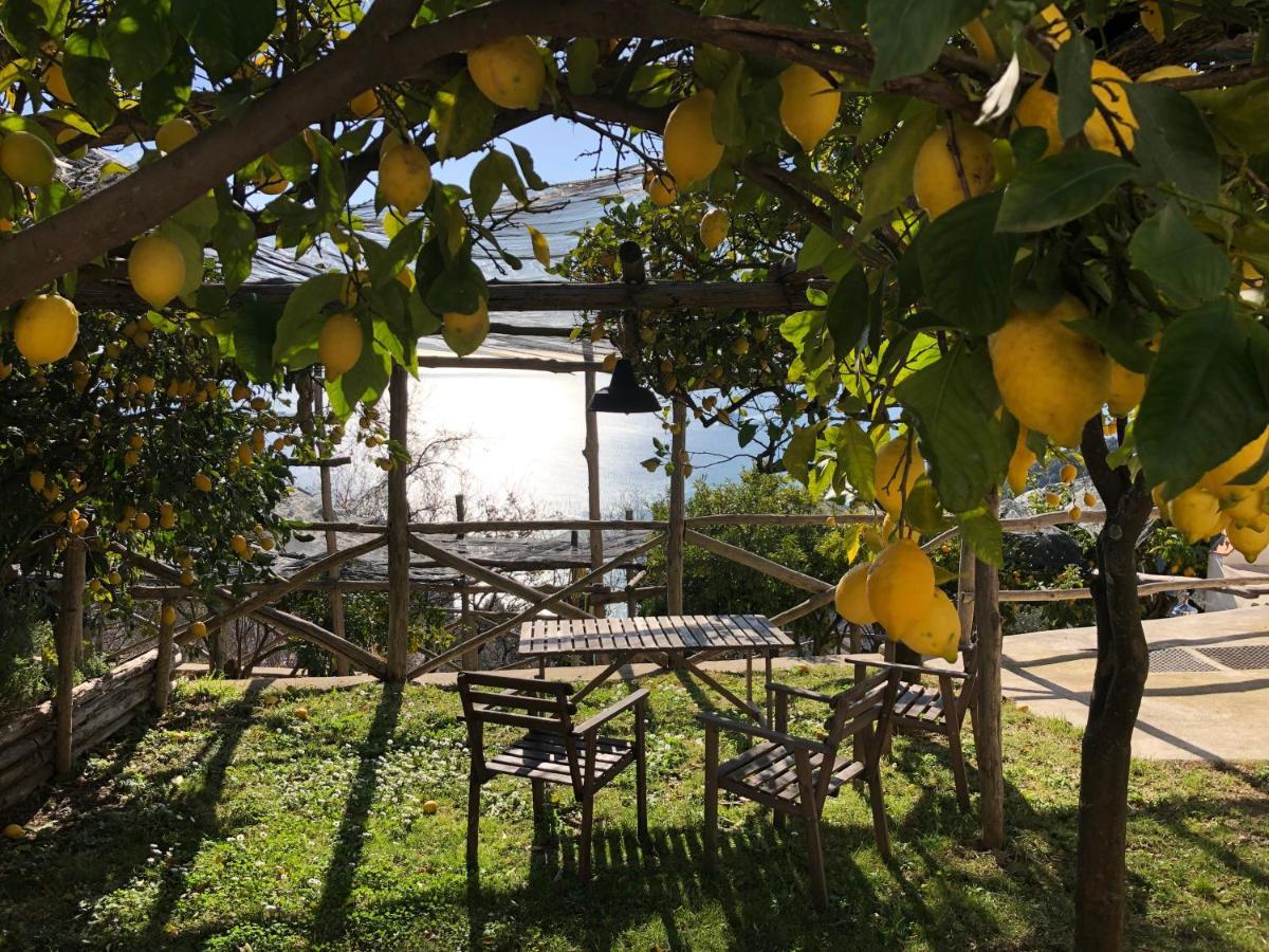 Bed and Breakfast Casa Flora Vietri Exterior foto