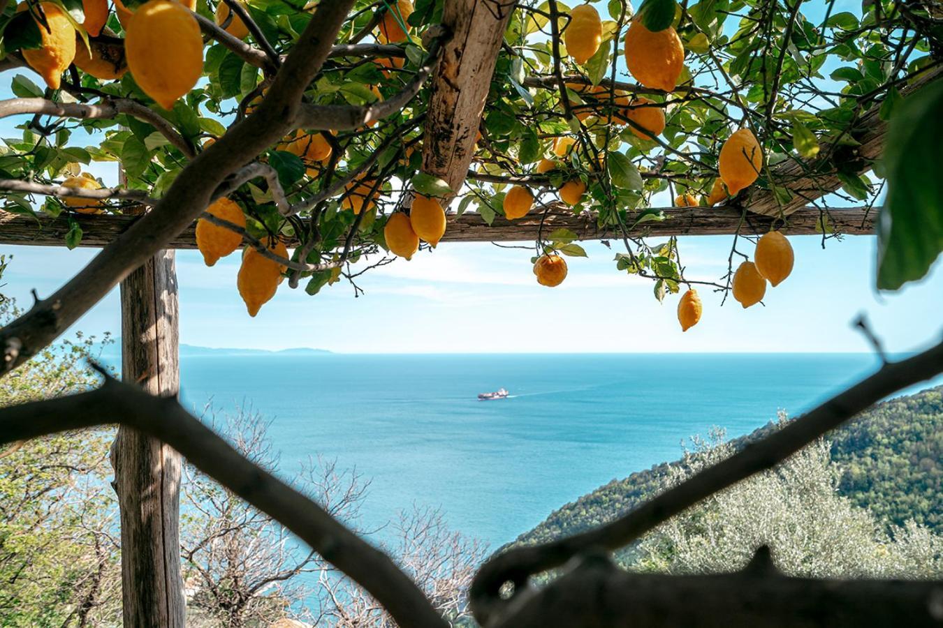Bed and Breakfast Casa Flora Vietri Exterior foto